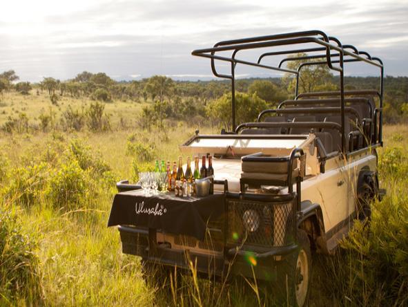 Ulusaba Cliff Lodge - Game Drive 